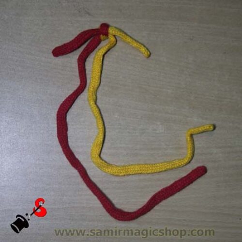 জোড়া দড়ি (Joint Rope)