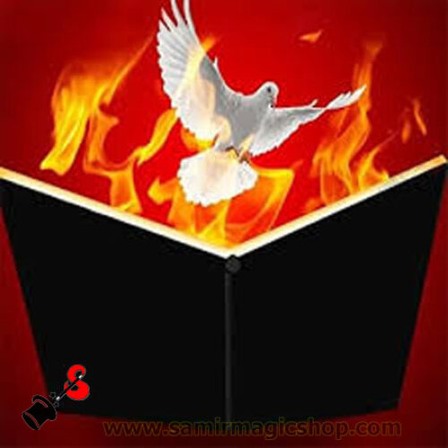 আগুন বই হতে কবিতর (Dove From Fire Book)