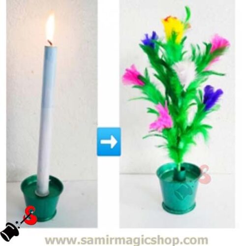 মোমবাতি থেকে ফুল (Candle to Flower)