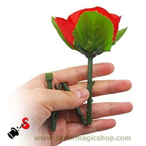 ফোল্ডিং রোজ – Folding Rose