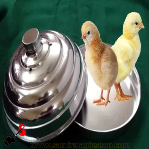 Chick Pan