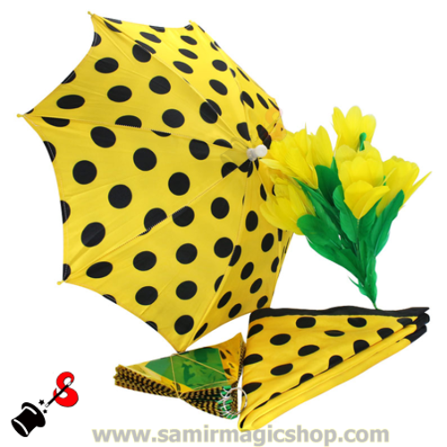 Color Change Scarf(Quintet)