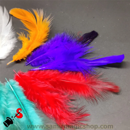 Goose Feather,2REd=2Green=2Yellow