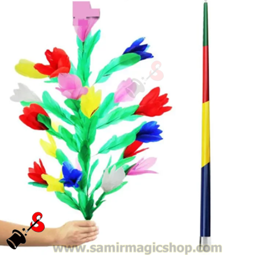 Only Vanishing Cane Flower