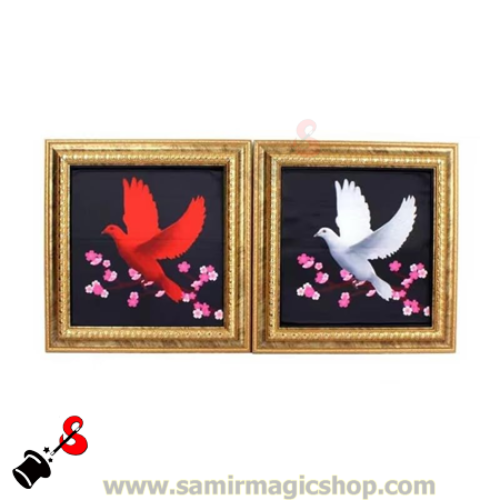 Picture To Dove Color Change (Dp)