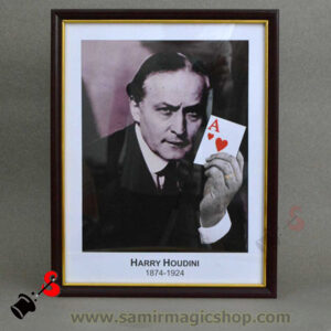 Houdini Card Prediction Frame