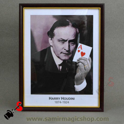 Houdini Card Prediction Frame