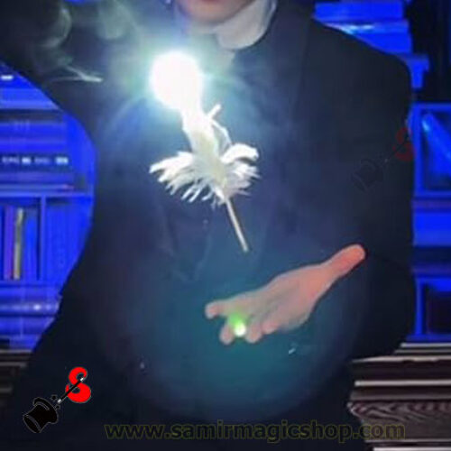 Wand to Ostrich feather
