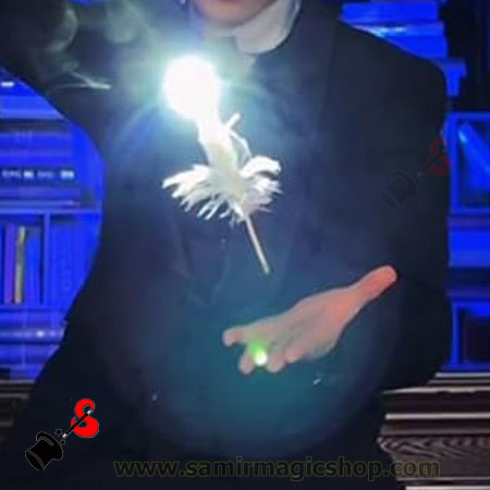 Wand to Ostrich feather